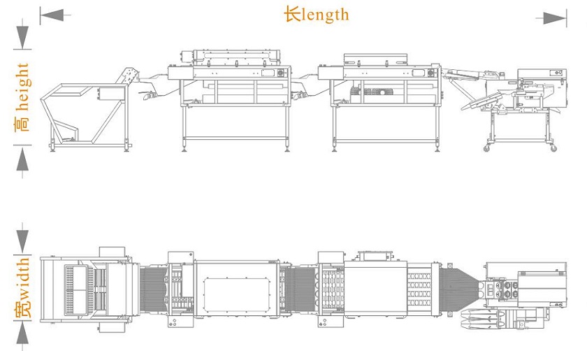上蛋+洗蛋+烘干+雙排敲蛋機(jī)組合生產(chǎn)線<長寬高>尺寸圖