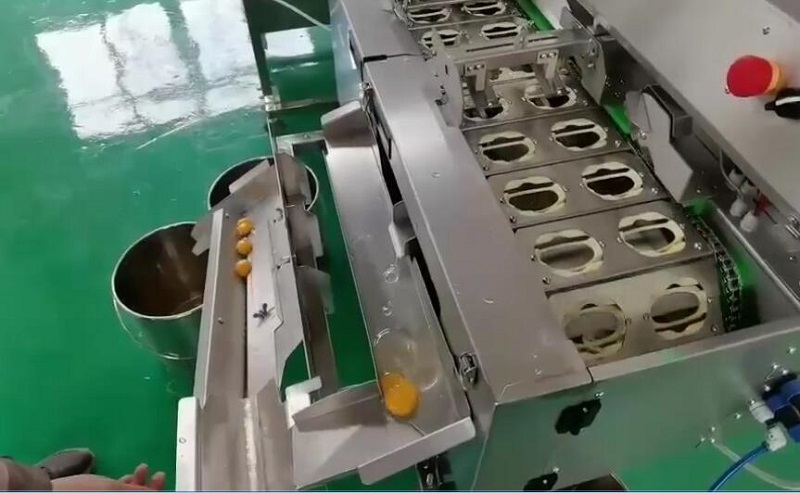 01-雙排敲蛋機-蛋清蛋液分離器