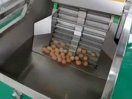 水中上蛋機